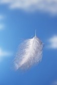 feather moodboard080506936 Bouncing like a kid ...