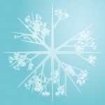 snowflake water crystal pattern aqua kgtoh081200911 150x150 Benefits of meditation ...
