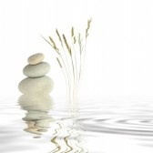 stones white pile with white reeds marilyna080600042 Crystals   Cleaning ...